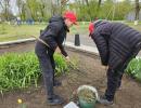 Патриотическая акция Чистый памятник
